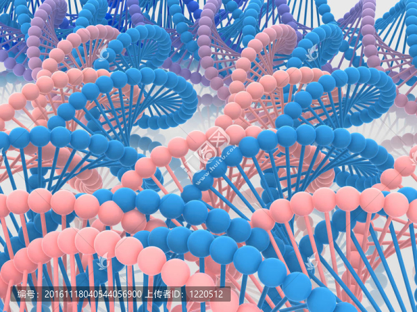 基因在DNA