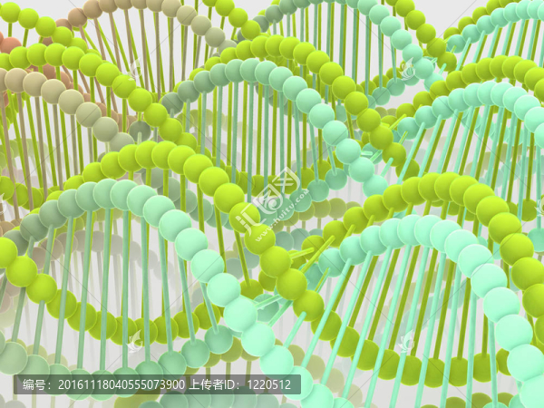基因在DNA