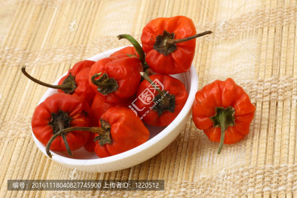 脂肪紅辣椒碗