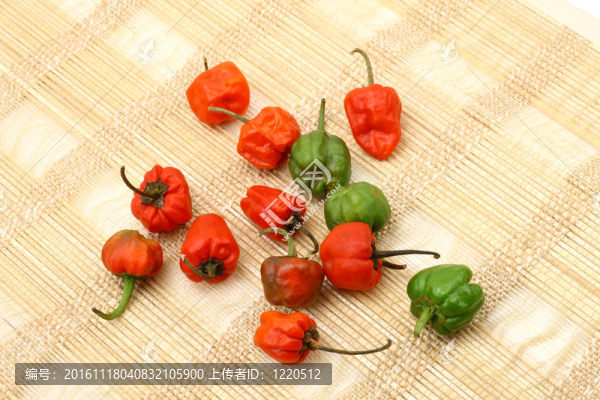 脂肪紅辣椒