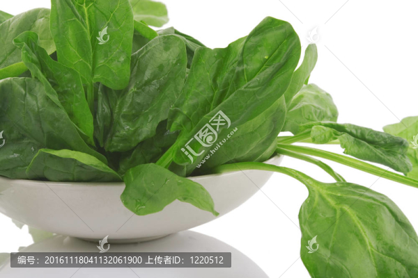 在一個白碗里的新鮮菠菜