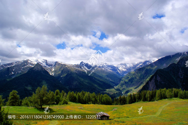 高山牧場