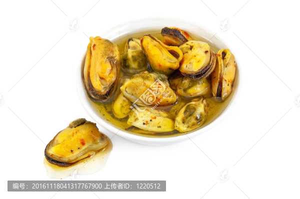 貽貝