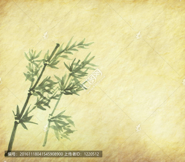紙背景下竹枝的輪廓