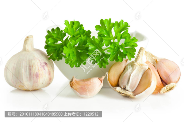 香料：大蒜和新鮮的香菜葉