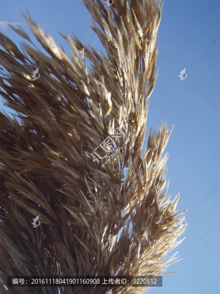 里德-匯圖網(wǎng) www.fosd68.com 里德