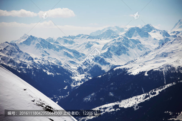 頂山