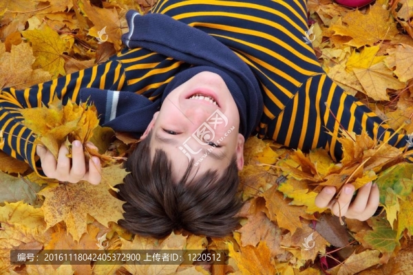 秋天的男孩