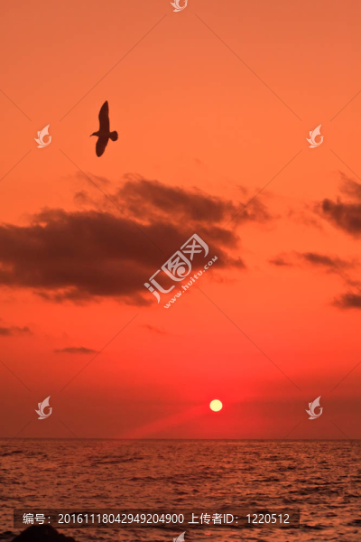 海上日出