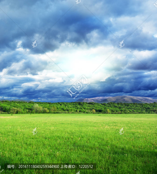 美麗的風(fēng)景