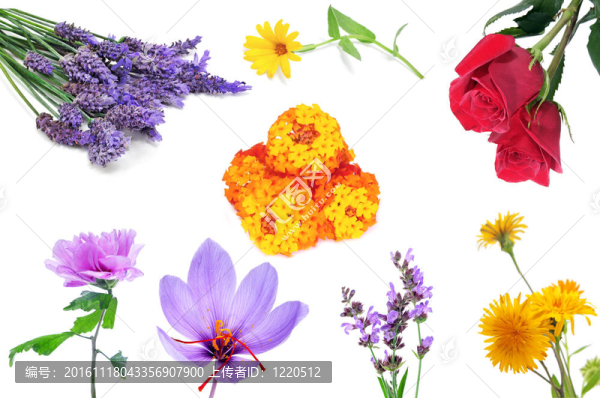 花拼貼
