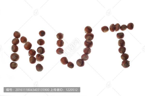 詞由榛子堅(jiān)果