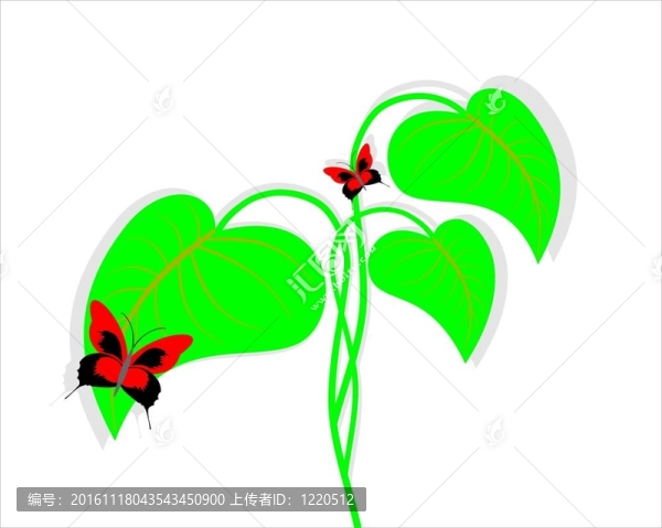花香尾韻