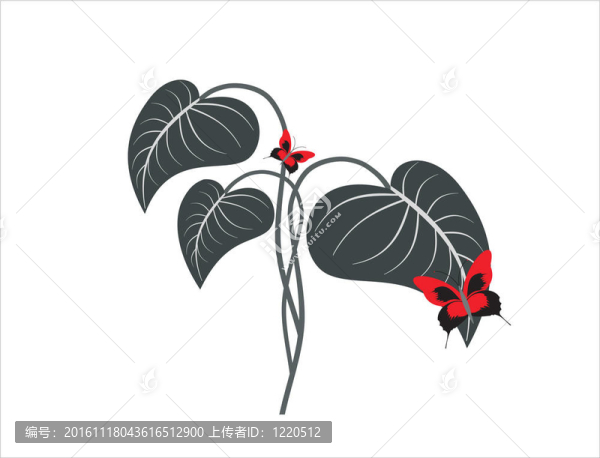 花香尾韻