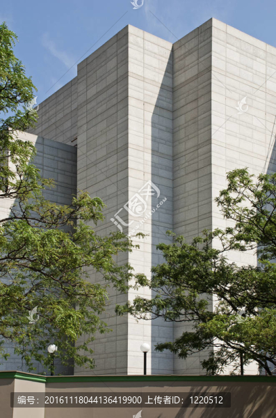 樹(shù)木高大窗戶的建筑