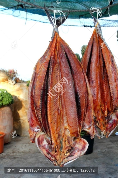 鰹魚(yú)金槍魚(yú)魚(yú)鲞M(jìn)editeraranean薩達(dá)