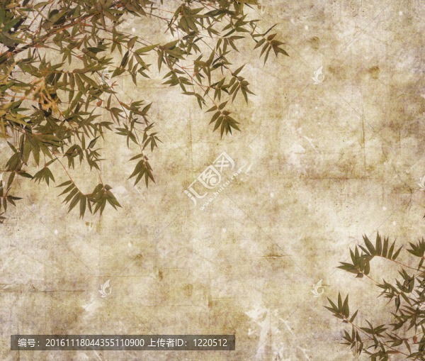 紙背景下竹枝的輪廓