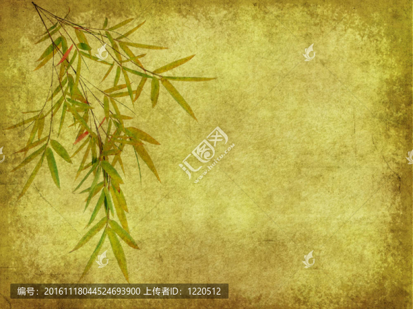 紙背景下竹枝的輪廓