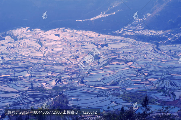 云南元陽(yáng)梯田；中國(guó)