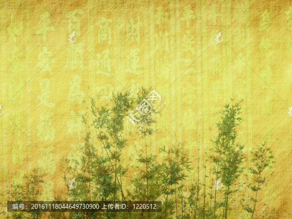 紙背景下竹枝的輪廓
