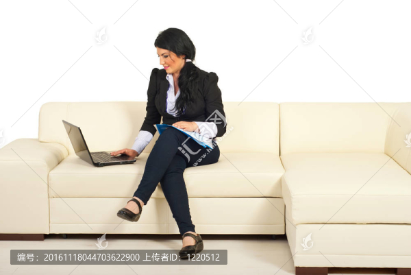 在沙發(fā)上使用筆記本電腦的商業(yè)女性