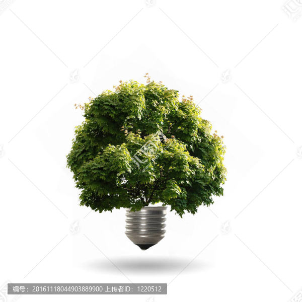 用樹的燈泡