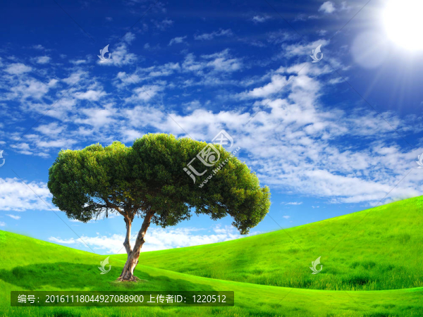 自然景觀與云