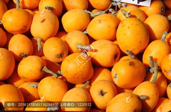 醫(yī)學(xué)文獻(xiàn)分析與檢索系統(tǒng)