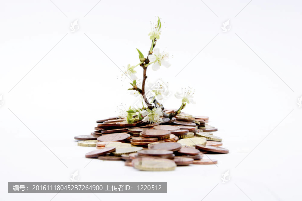 帶錢的綠色芽