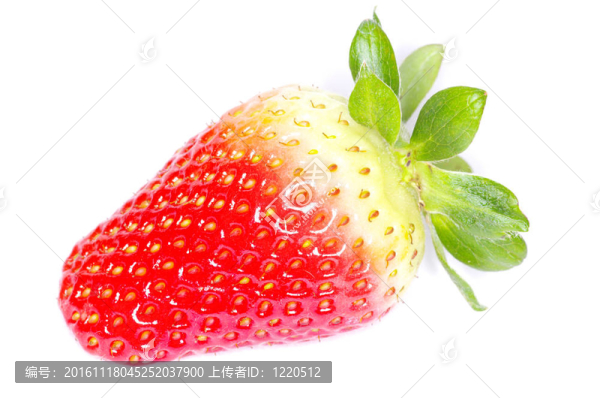 草莓