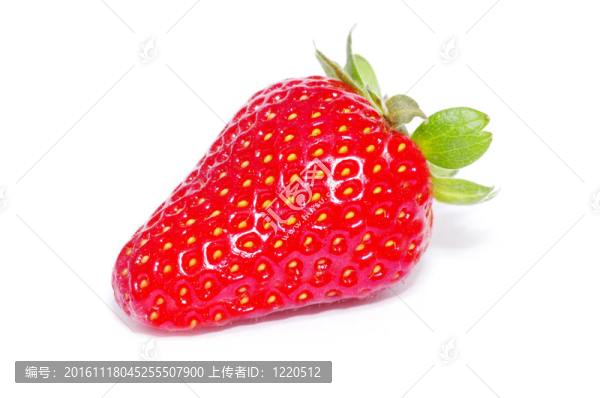 草莓