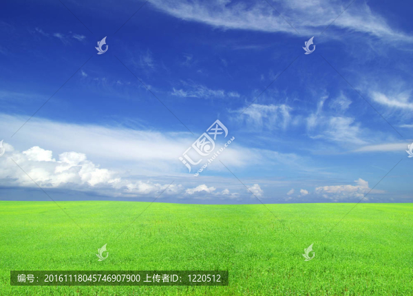 領(lǐng)域