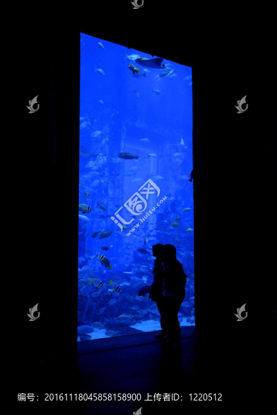 水族館