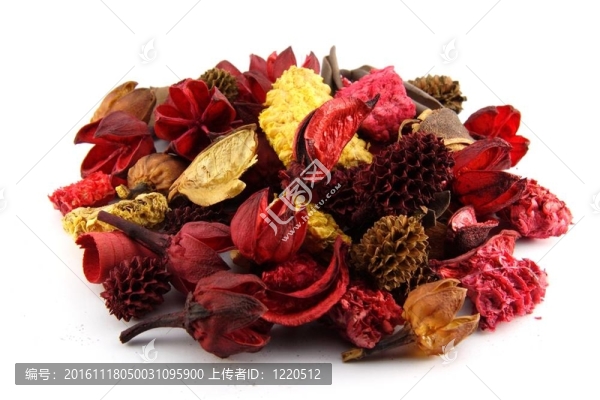 多彩的干葉和花