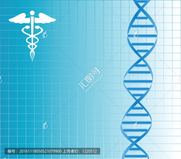 DNA鏈