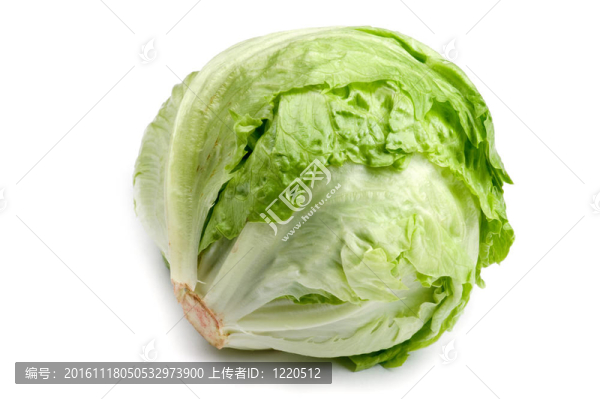 白色近白菜