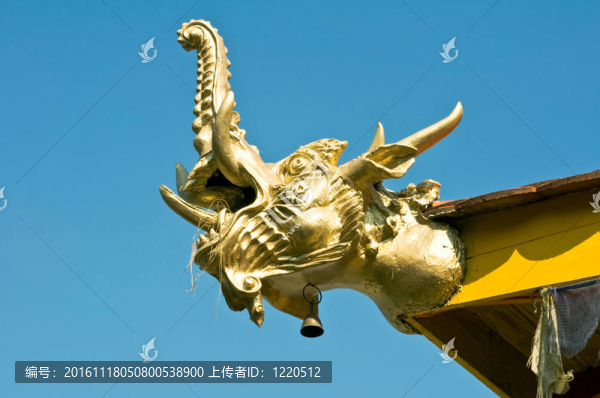 龍的頭