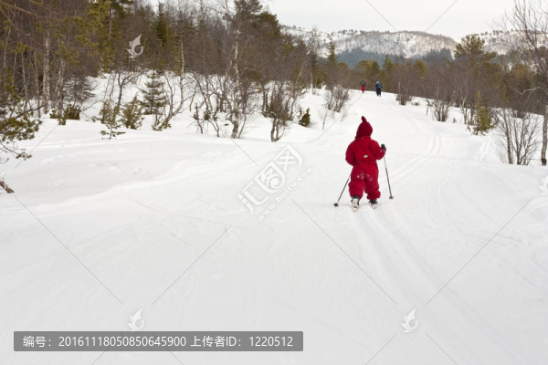 有幾個(gè)人在森林里滑雪，包括小孩（4歲）。