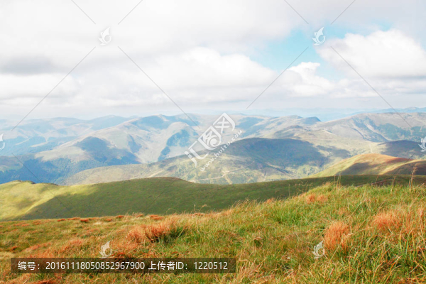山