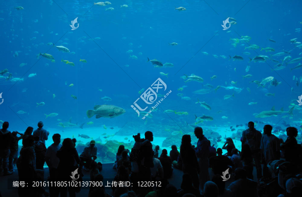 喬治亞水族館食品法院