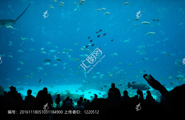 喬治亞水族館食品法院