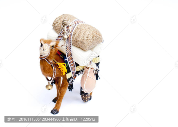 駱駝紀(jì)念品