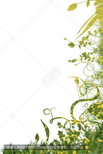 花的