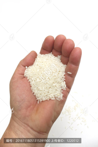 白米飯