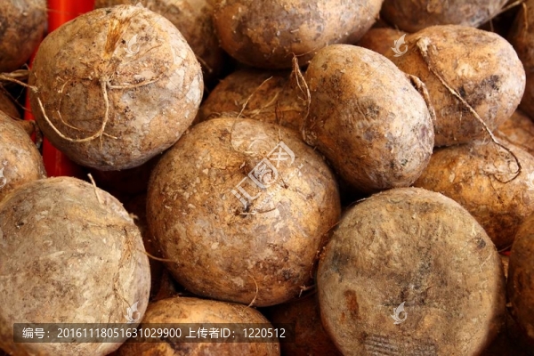 豆薯地瓜墨西哥食品蔬菜