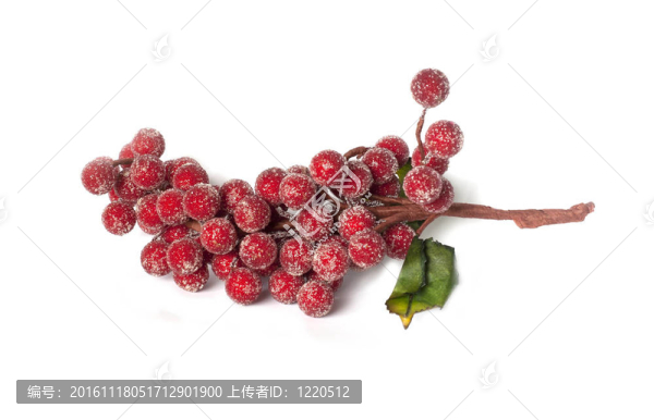 圣誕節(jié)裝飾用的葡萄
