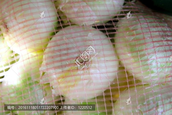 市場(chǎng)中的洋蔥網(wǎng)