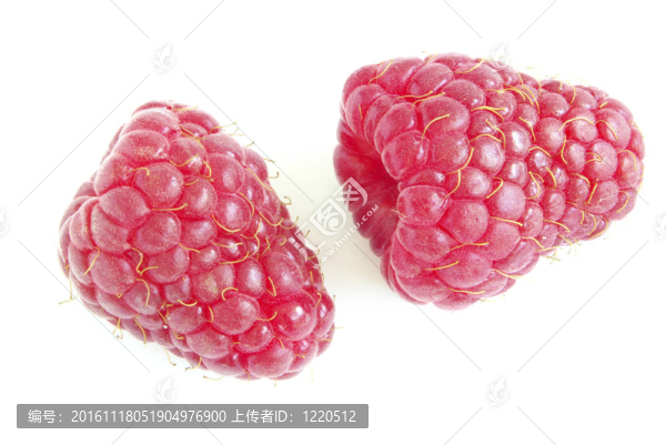 覆盆子