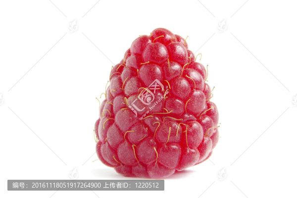 覆盆子-匯圖網(wǎng) www.fosd68.com 覆盆子