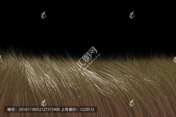 毛皮分離
